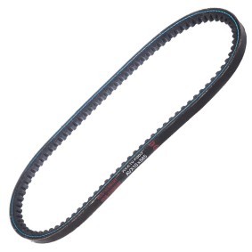Keilriemen AVX-10X585-PCS-MS von MASTER-SPORT günstig für 3,06 € online kaufen