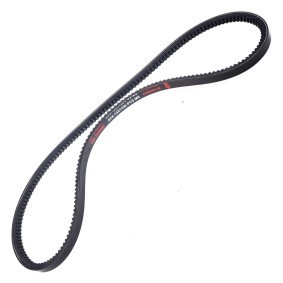 Achetez des Courroie trapézoïdale MASTER-SPORT AVX-13X1150-PCS-MS à prix pour 5,63 €