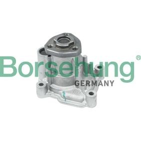 Köp Vattenpump av Borsehung B12696 till det låga priset 699,73 kr