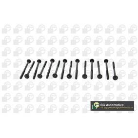 Compre Tornillos de culata de BGA online para 8 Cabrio (G14, F91) a precios moderados