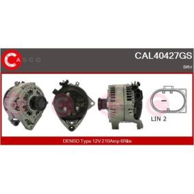Køb Generator af CASCO CAL30132AS til den lave pris 1527,69 DKK