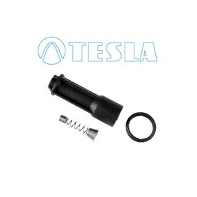 Acquista Cappuccio, Candela d'accensione da TESLA CP072 a buon mercato per soli 6,51 €