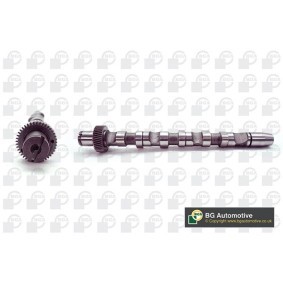 Nockenwelle CS1529 von BGA günstig für 153,13 € online kaufen