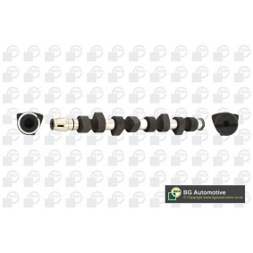 Nockenwelle CS4312 von BGA günstig für 104,81 € online kaufen