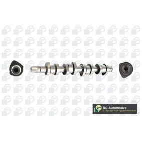 Nockenwelle CS9901 von BGA günstig für 132,40 € online kaufen