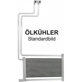 Acquista Radiatore olio motore da DIEDERICHS DCO1006 a buon mercato per soli 537,23 €