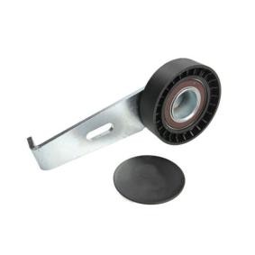 Spannrolle, Keilrippenriemen E2C0031BTA von BTA günstig für 41,07 € online kaufen