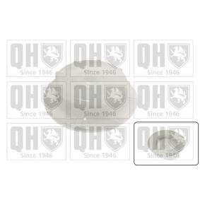 Achetez des Bouchon de liquide de refroidissement QUINTON HAZELL FC547 à prix pour 4,83 €