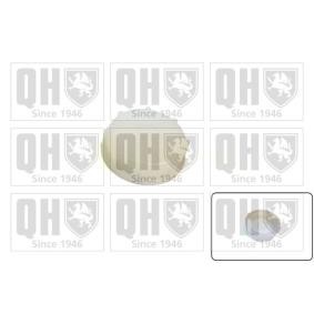 Achetez des Bouchon de liquide de refroidissement QUINTON HAZELL FC548 à prix pour 4,70 €