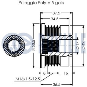 Spannrolle, Zahnriemen 55958 von RUVILLE günstig für 24,63 € online kaufen