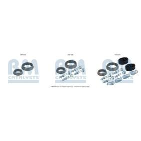 Montagesatz, Katalysator FK91225 von BM CATALYSTS günstig für 43,92 € online kaufen
