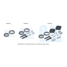 Montagesatz, Katalysator FK91576 von BM CATALYSTS günstig für 21,62 € online kaufen