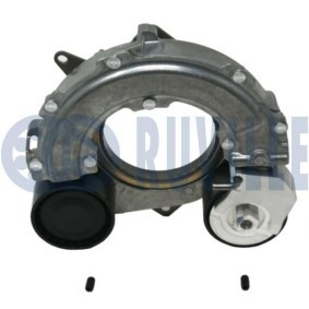 Spannrolle, Keilrippenriemen 58824 MAN von RUVILLE