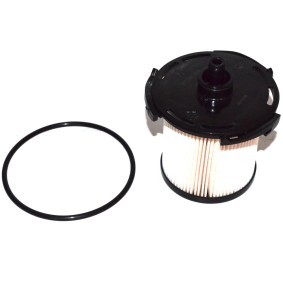 Kraftstofffilter des Herstellers FAST - Originalware Artikelnummer: FT39088