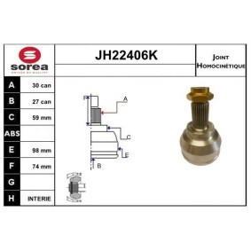 Gelenksatz, Antriebswelle JH22406K von SNRA günstig für 119,93 € online kaufen