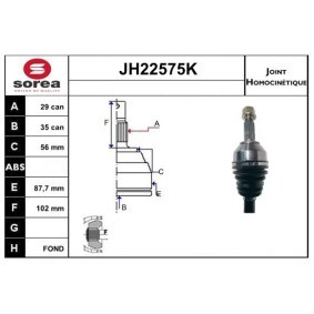 Gelenksatz, Antriebswelle JH22575K von SNRA günstig für 117,53 € online kaufen