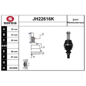 Gelenksatz, Antriebswelle JH22616K von SNRA günstig für 278,71 € online kaufen