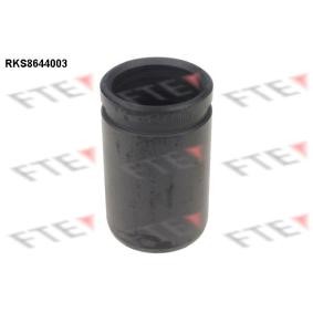 Kolben, Bremssattel RKS8644003 von FTE günstig für 19,06 € online kaufen