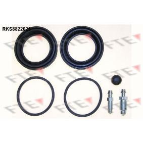 Bremssattel-Reparatursatz RKS8822025 von FTE günstig für 19,16 € online kaufen