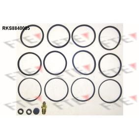 Bremssattel-Reparatursatz RKS8840005 von FTE günstig für 26,01 € online kaufen