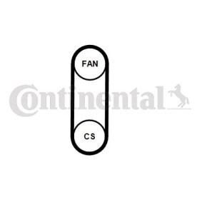 Zahnriemensatz CT530K1 von CONTITECH günstig für 86,01 € online kaufen