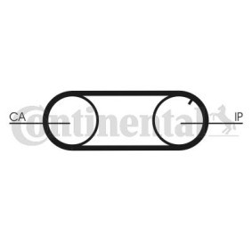 Zahnriemen CT641 von CONTITECH günstig für 15,67 € online kaufen