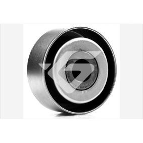 Umlenk- / Führungsrolle, Keilrippenriemen T0437 von HUTCHINSON günstig für 55,17 € online kaufen