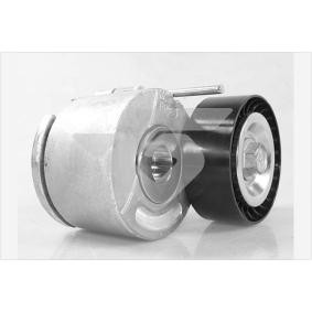 Spannrolle, Keilrippenriemen T0572 von HUTCHINSON günstig für 56,39 € online kaufen