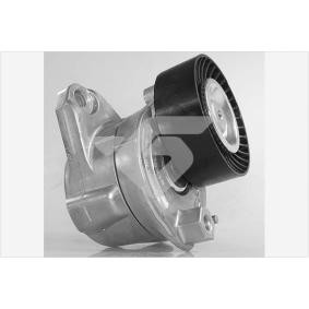 Spannrolle, Keilrippenriemen T0600 von HUTCHINSON günstig für 83,81 € online kaufen