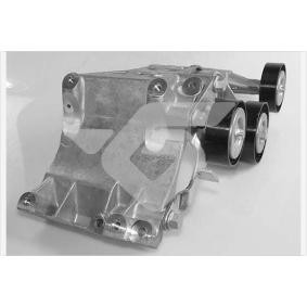 Spannrolle, Keilrippenriemen T0667 von HUTCHINSON günstig für 220,27 € online kaufen