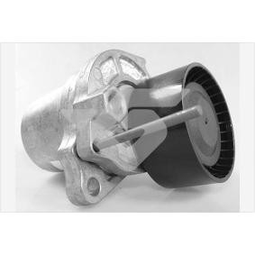 Spannrolle, Keilrippenriemen T0690 von HUTCHINSON günstig für 101,57 € online kaufen