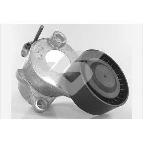 Spannrolle, Keilrippenriemen T0694 von HUTCHINSON günstig für 108,31 € online kaufen