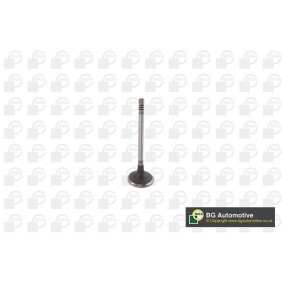 Comprar Válvula de admisión de BGA V232015 a bajo precio de 13,52 €