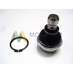 Compre Rótula de suspensão da MOTAQUIP VSJ1001 a um preço baixo por 34,81 €