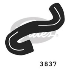 Kühlerschlauch 3837 von GATES günstig für 14,53 € online kaufen