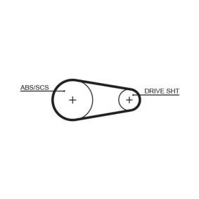Acquista Cinghia dentata da GATES 5204XS a buon mercato per soli 8,89 €