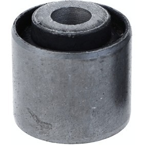Lagerung, Achsstrebe 11123 01 von LEMFÖRDER günstig für 6,71 € online kaufen