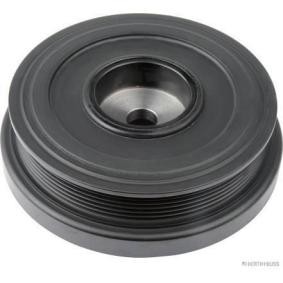 Achetez des Poulie damper (vilebrequin) HERTH+BUSS JAKOPARTS J1090515 à prix pour 205,79 €