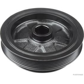 Compre Polea de cigüeñal de HERTH+BUSS JAKOPARTS online para ALMERA TINO (V10) a precios moderados