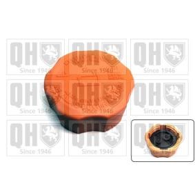 Achetez des Bouchon liquide de refroidissement de chez QUINTON HAZELL en ligne pour Antara (L07) à prix modérés