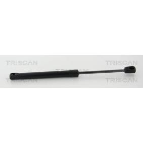 Motorhaubendämpfer 8710 17106 von TRISCAN günstig für 15,15 € online kaufen