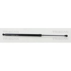 Heckklappendämpfer 8710 20208 von TRISCAN günstig für 16,05 € online kaufen