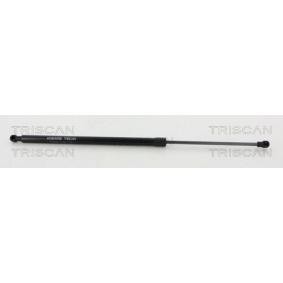 Heckklappendämpfer 8710 20209 von TRISCAN günstig für 16,05 € online kaufen