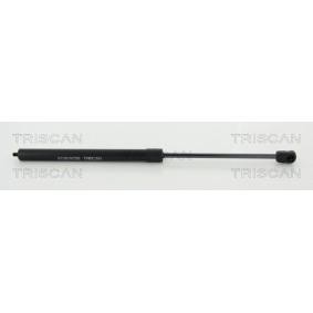 Motorhaubendämpfer 8710 23129 von TRISCAN günstig für 32,06 € online kaufen
