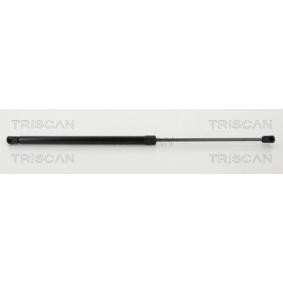 Heckklappendämpfer 8710 292041 von TRISCAN günstig für 36,44 € online kaufen