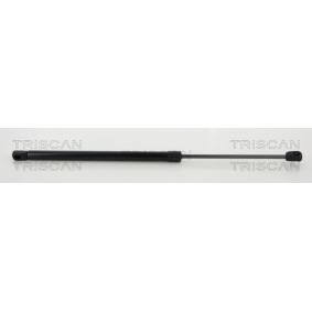 Heckklappendämpfer 8710 292042 von TRISCAN günstig für 21,26 € online kaufen