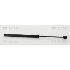 Compre Maletero de TRISCAN online para i10 Sedán a precios moderados