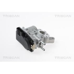 AGR-Ventil 8813 14100 von TRISCAN günstig für 394,10 € online kaufen
