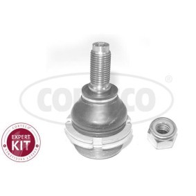 Traggelenk 49398886 von CORTECO günstig für 12,31 € online kaufen