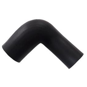 Compre Tubo flexível do ar de sobrealimentação da BUGIAD 81694 a um preço baixo por 11,76 €